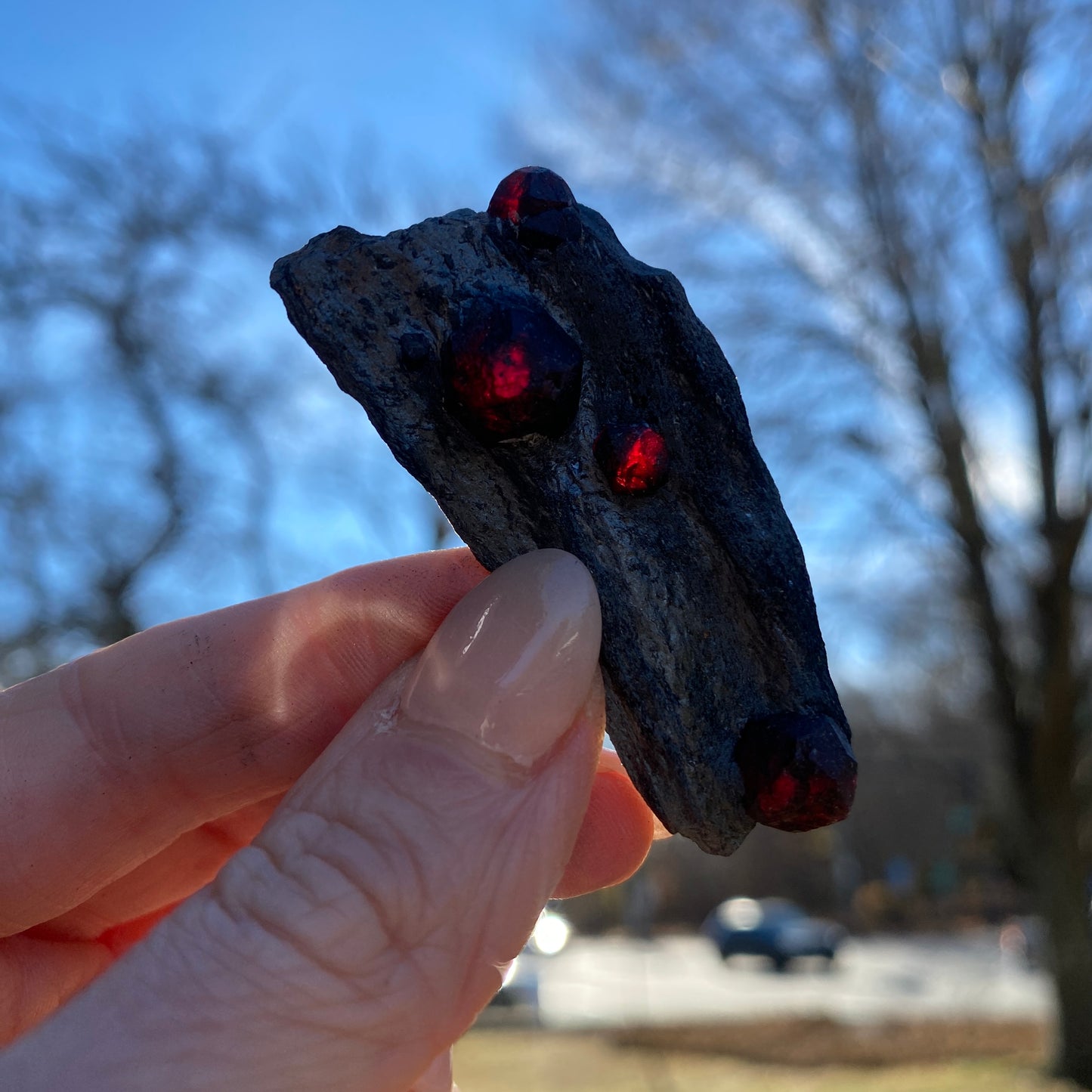 Garnet in Graphite Specimen from Massachusetts, Single Mine Material