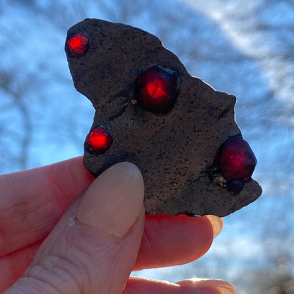 Garnet in Graphite Specimen from Massachusetts, Single Mine Material