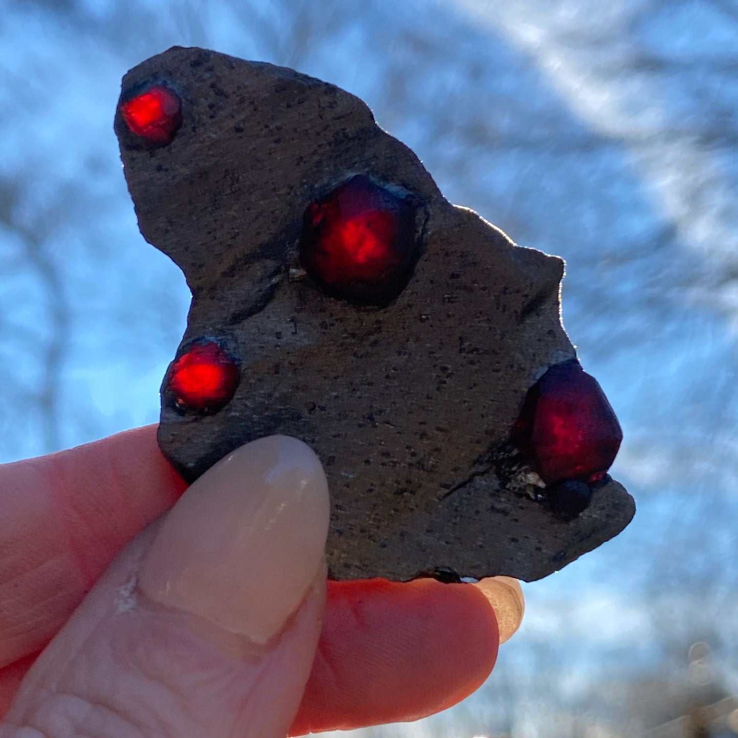 Garnet in Graphite Specimen from Massachusetts, Single Mine Material