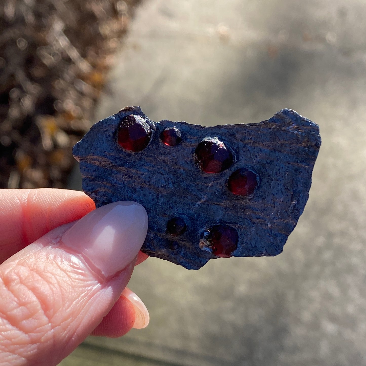 Garnet in Graphite Specimen from Massachusetts, Single Mine Material