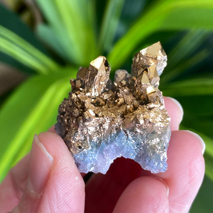 24 Karat Gold Aura Quartz, Italy
