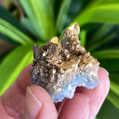 24 Karat Gold Aura Quartz, Italy
