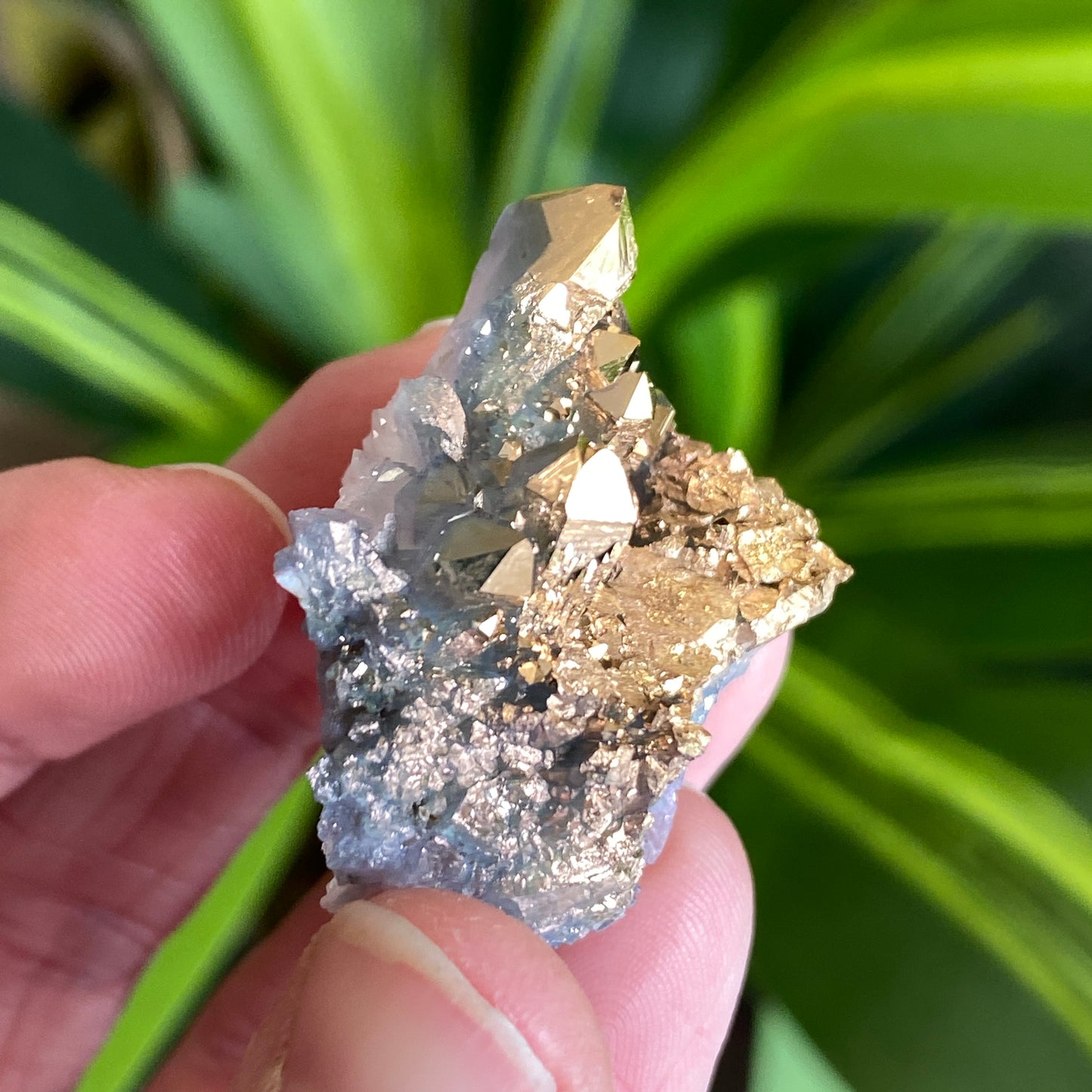 24 Karat Gold Aura Quartz, Italy