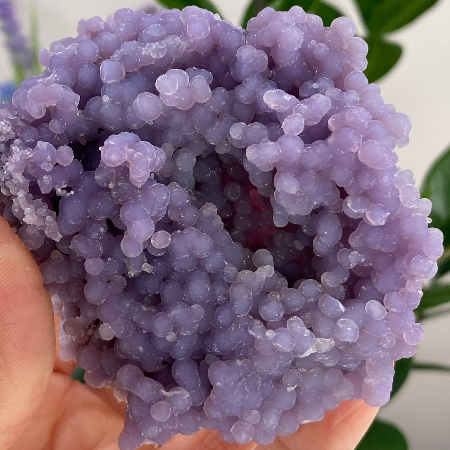 Grape Agate