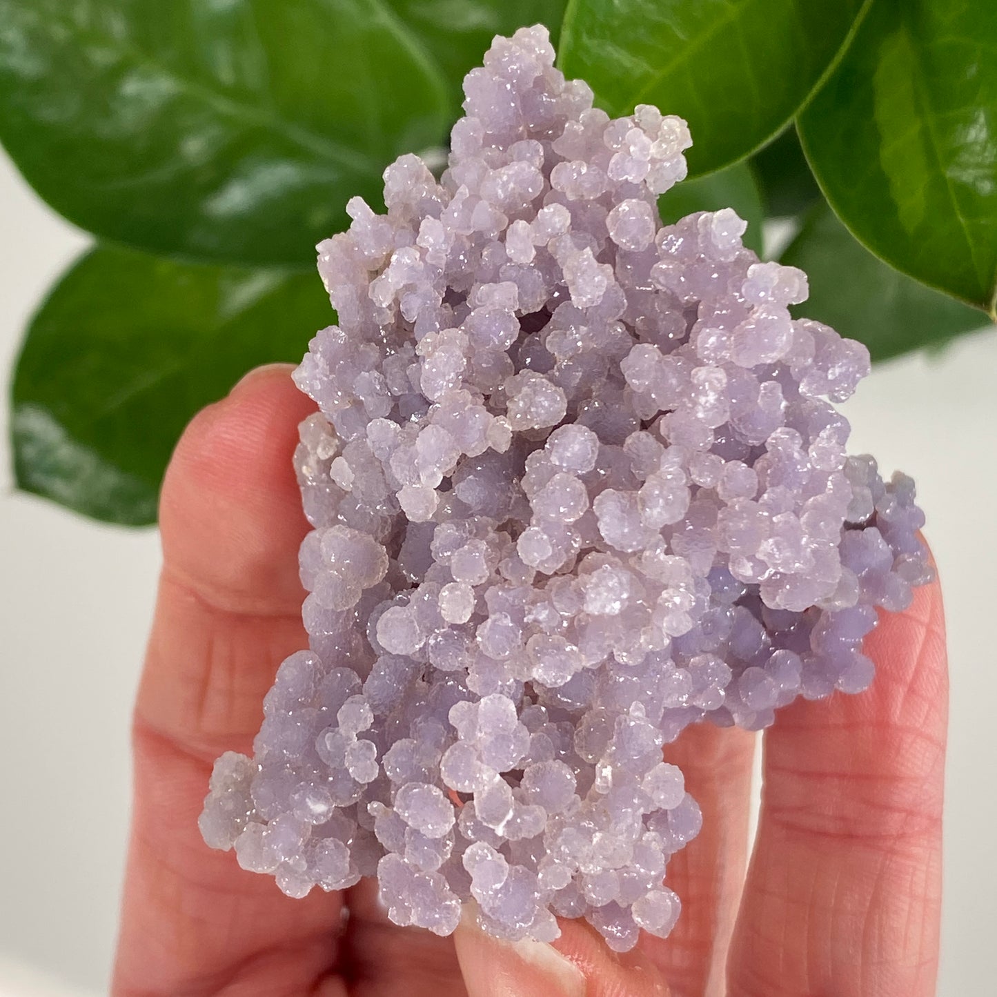 Grape Agate
