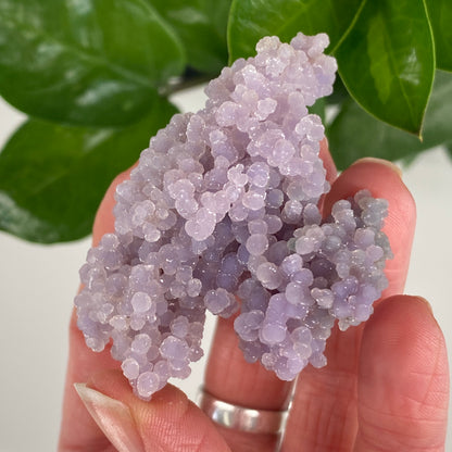 Grape Agate