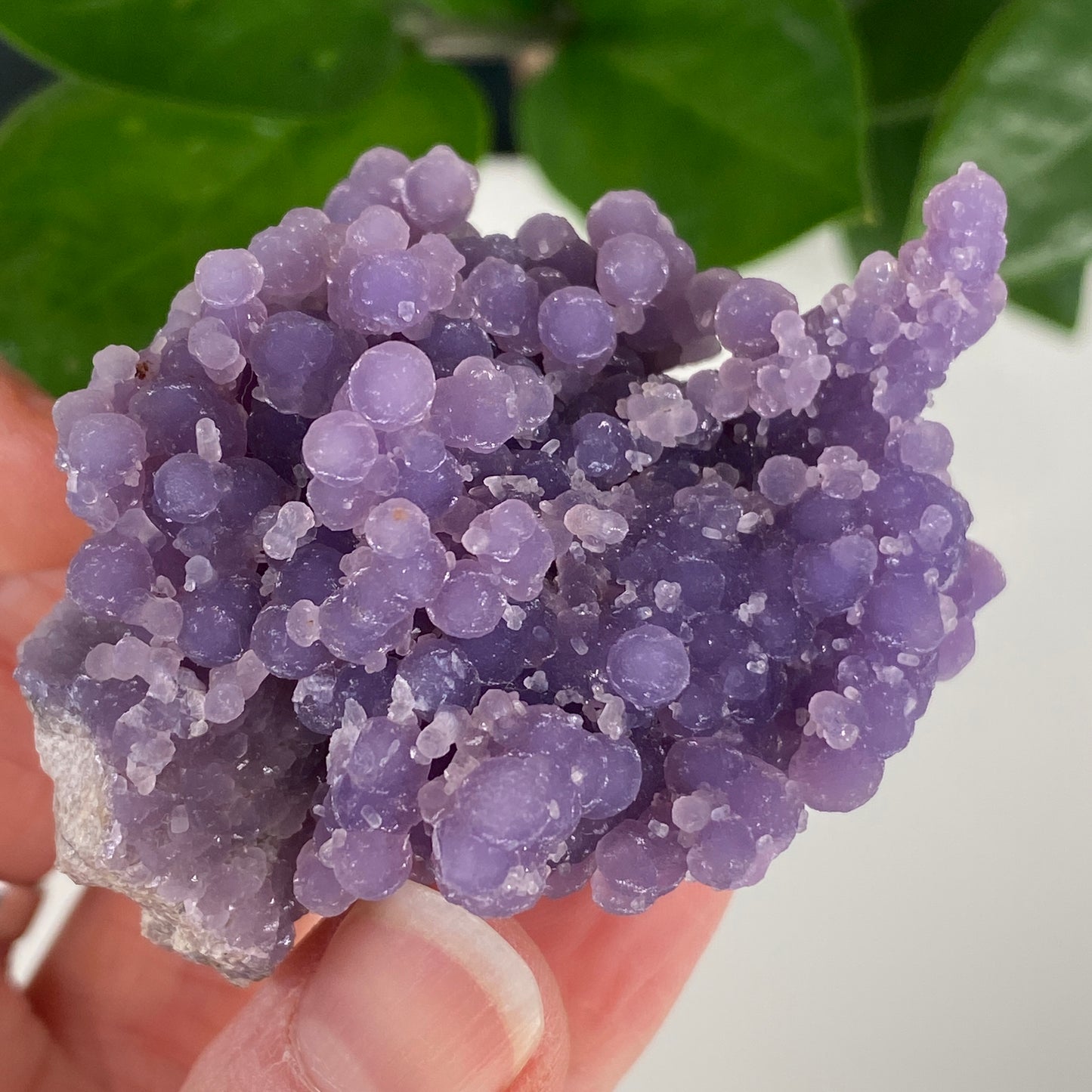 Grape Agate