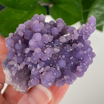 Grape Agate