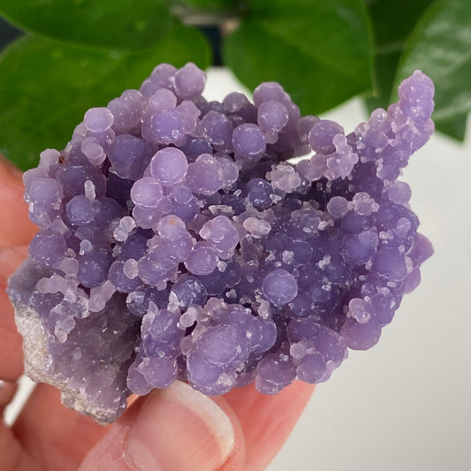 Grape Agate