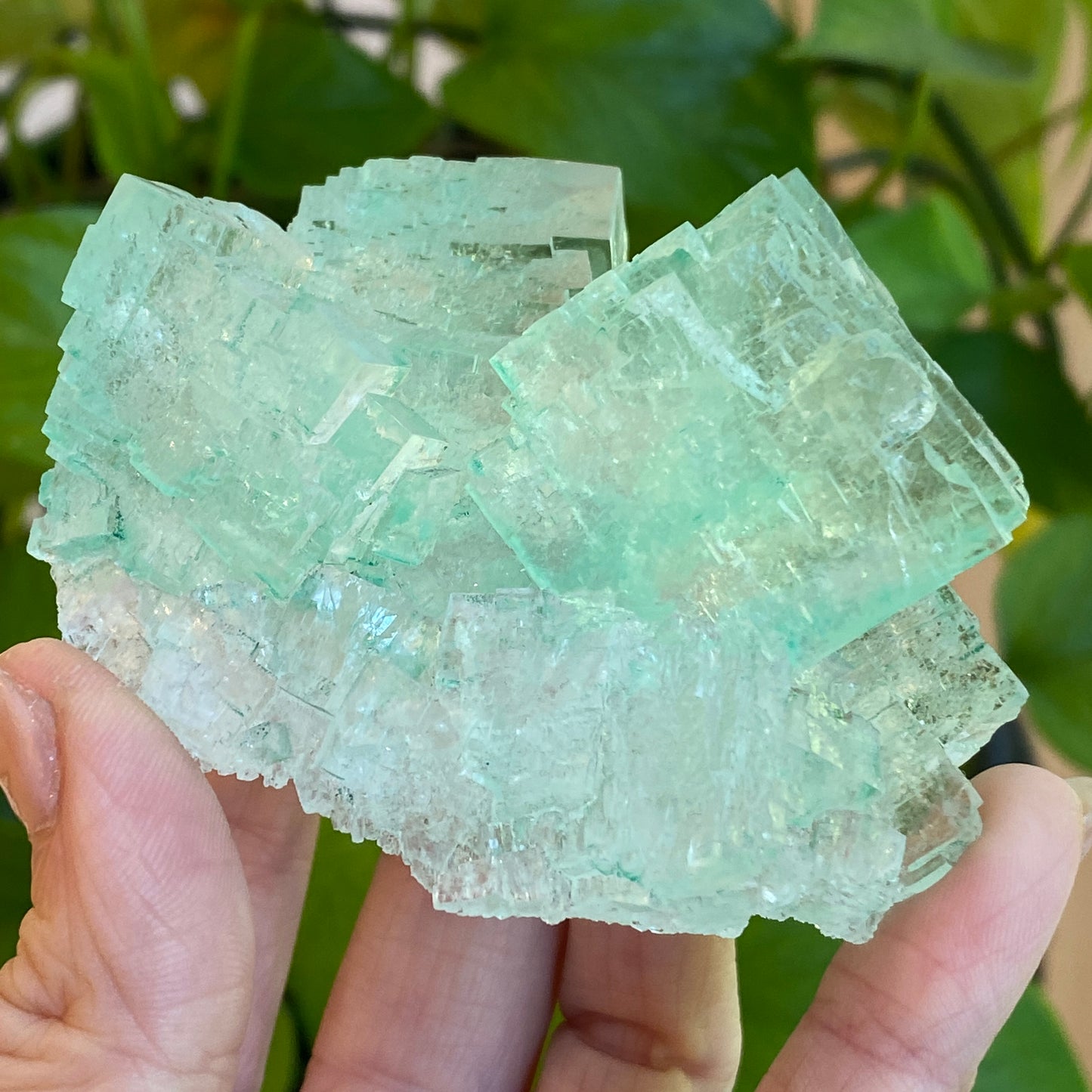 Green Halite Specimen, Halite with Atacamite, Poland