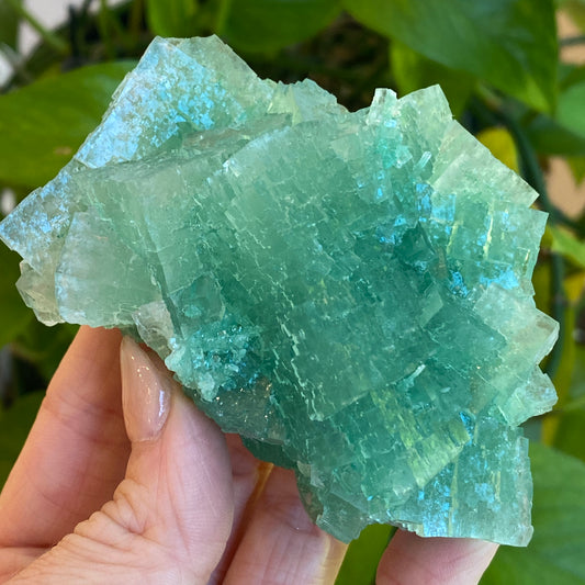 Green Halite Specimen, Halite with Atacamite, Poland