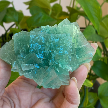 Green Halite Specimen, Halite with Atacamite, Poland