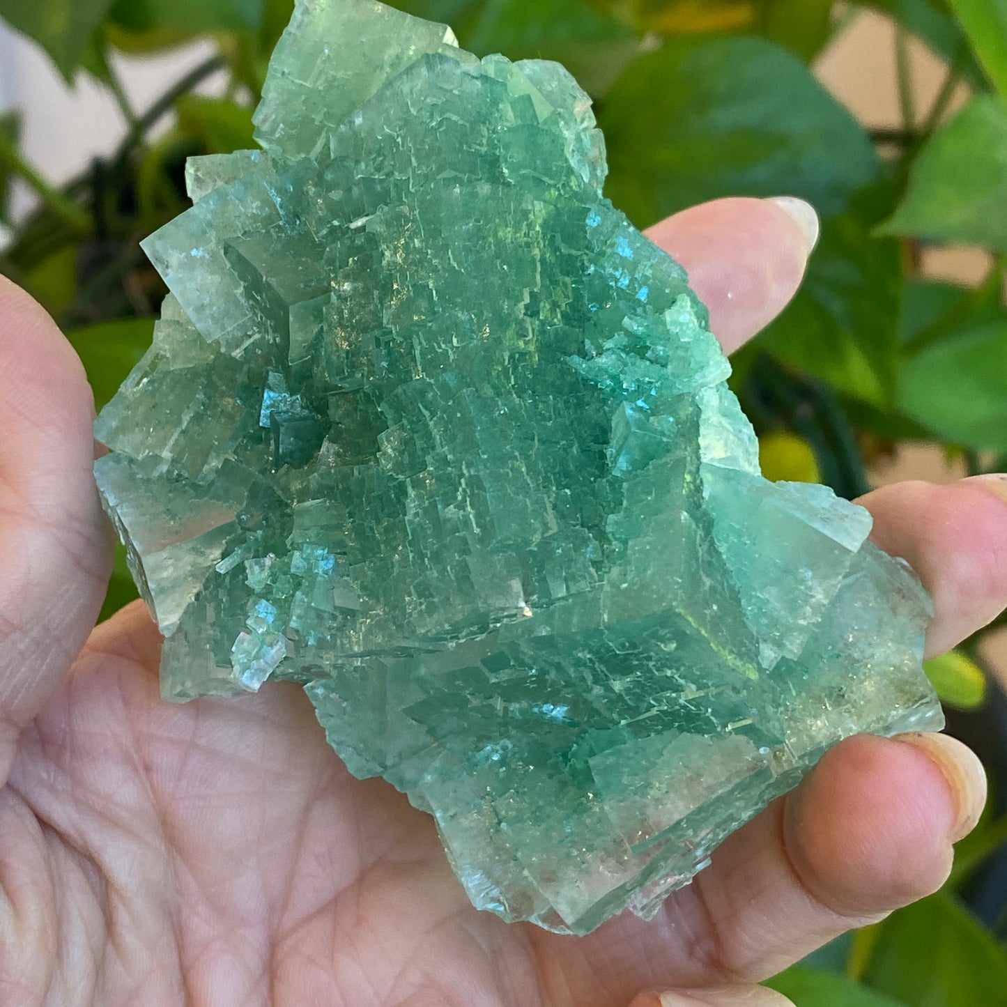 Green Halite Specimen, Halite with Atacamite, Poland