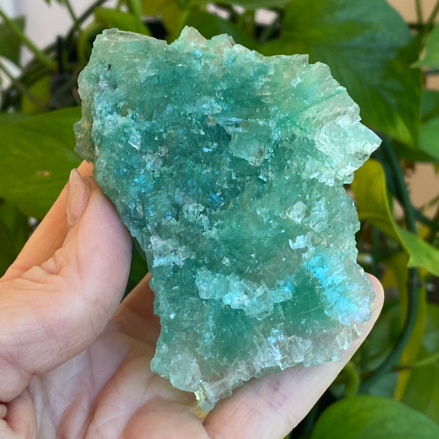 Green Halite Specimen, Halite with Atacamite, Poland