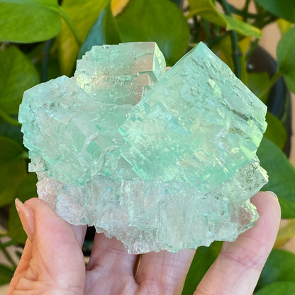 Green Halite Specimen, Halite with Atacamite, Poland