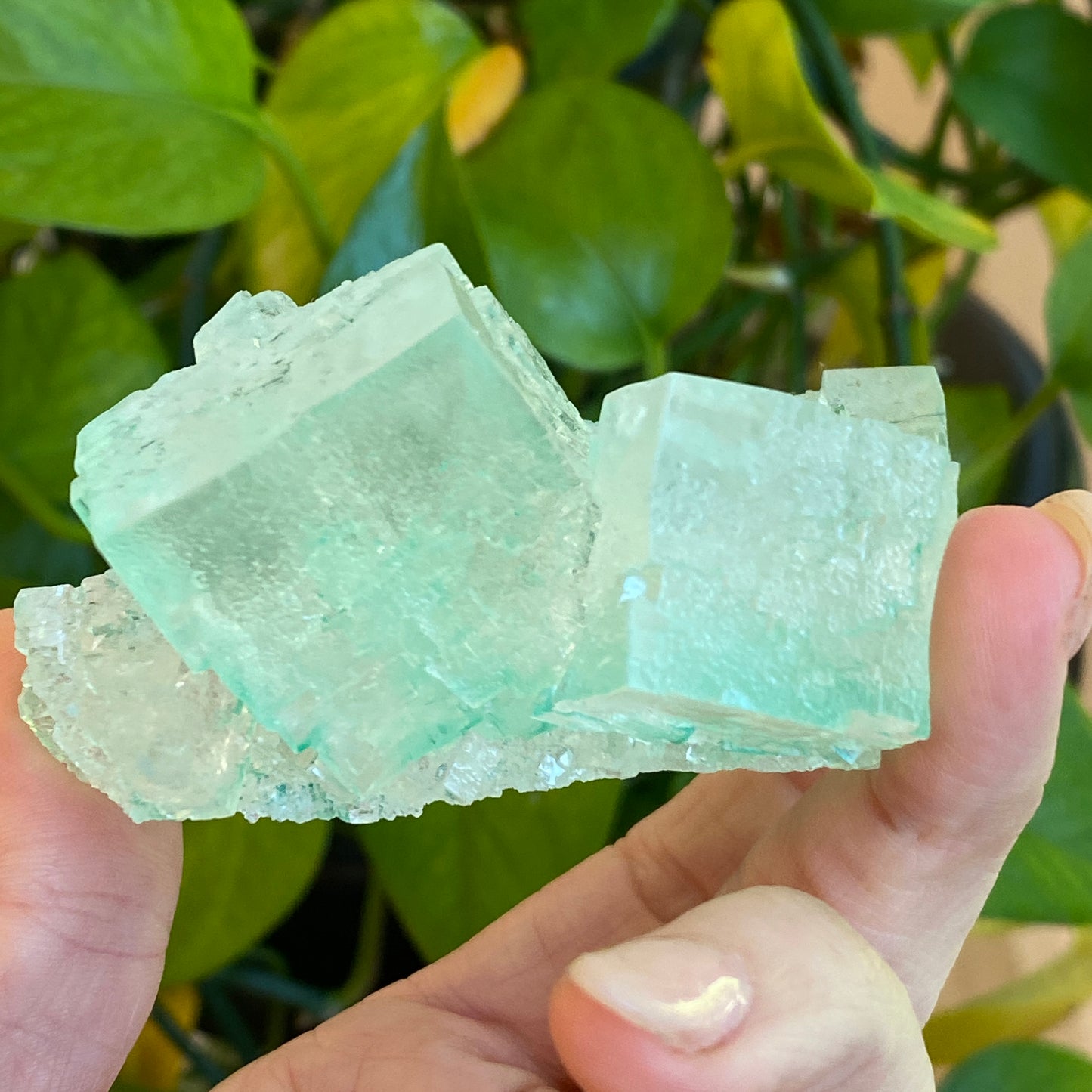 Green Halite Specimen, Halite with Atacamite, Poland