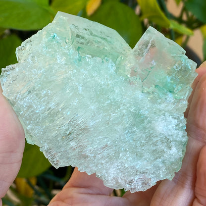 Green Halite Specimen, Halite with Atacamite, Poland