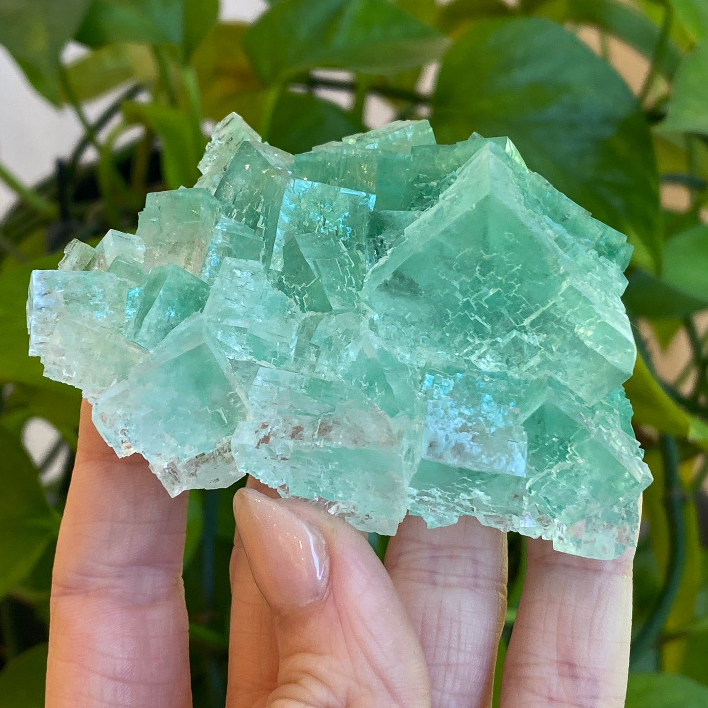 Green Halite Specimen, Halite with Atacamite, Poland