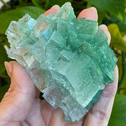 Green Halite Specimen, Halite with Atacamite, Poland