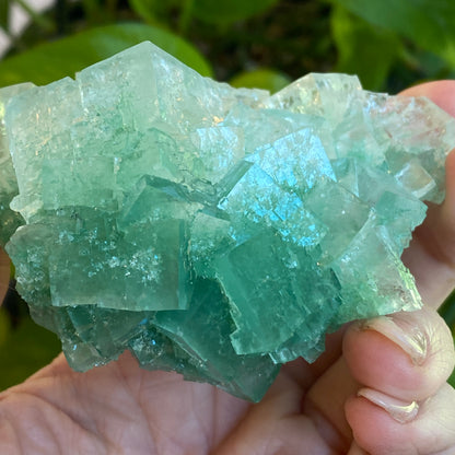 Green Halite Specimen, Halite with Atacamite, Poland