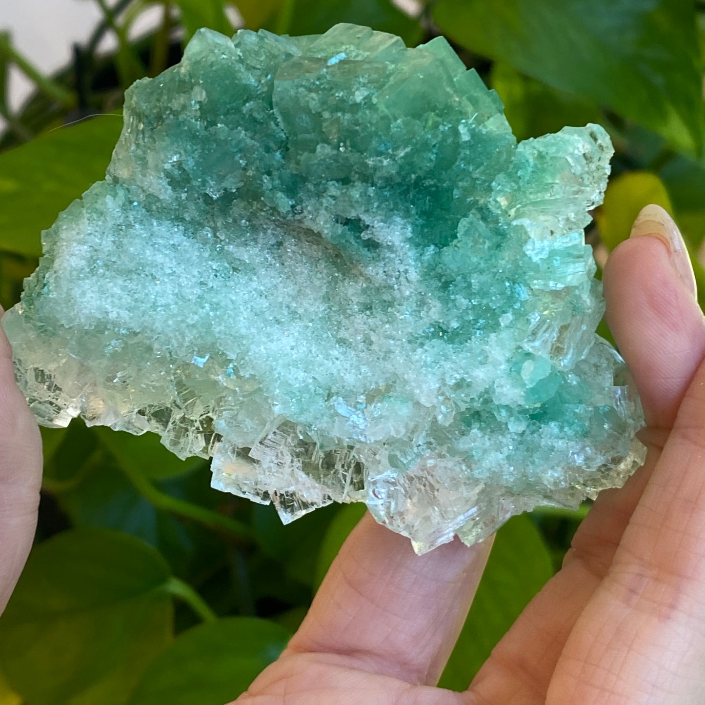 Green Halite Specimen, Halite with Atacamite, Poland