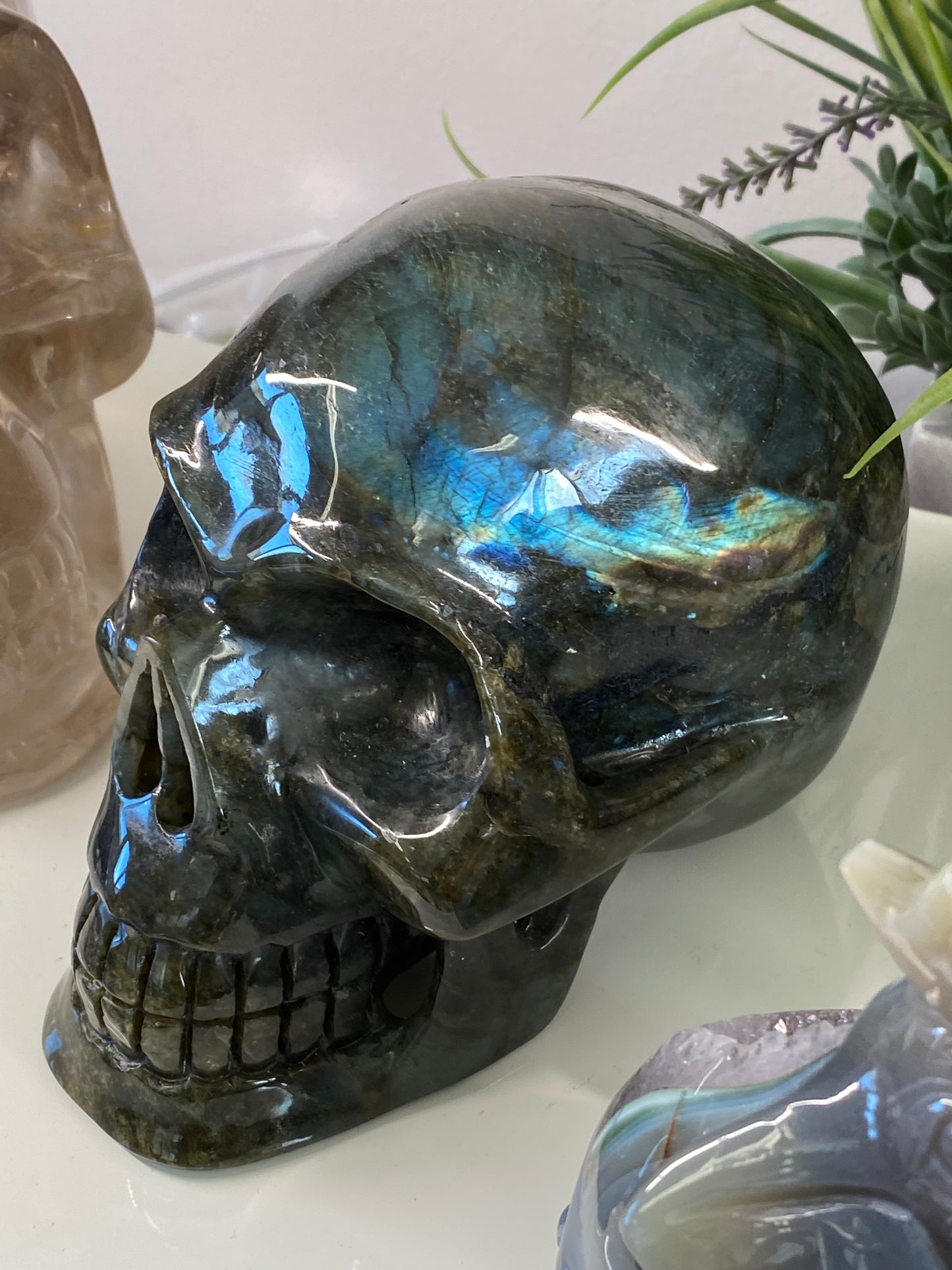 Tucson Live Sale February 11th 2026