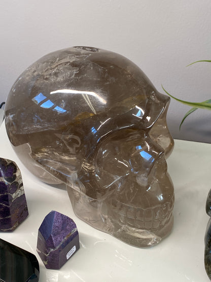 Tucson Live Sale February 11th 2026