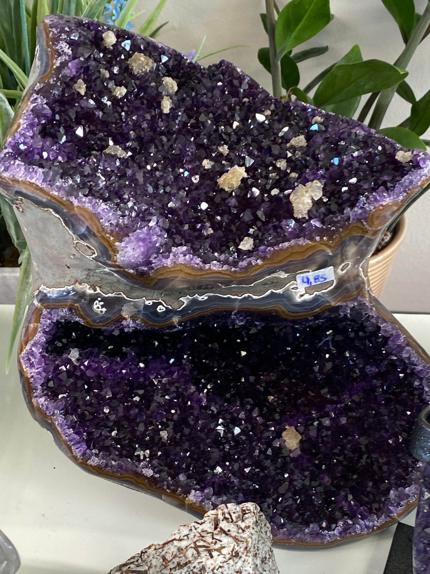 Tucson Live Sale February 11th 2026