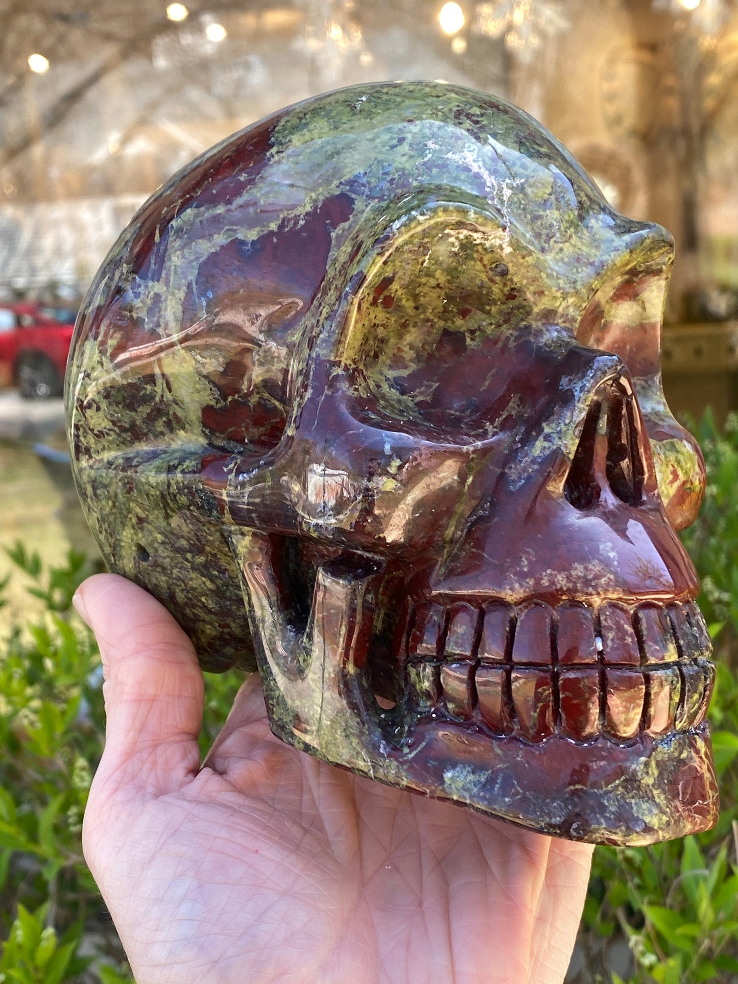 Dragon's Blood Skull, Large, 6in