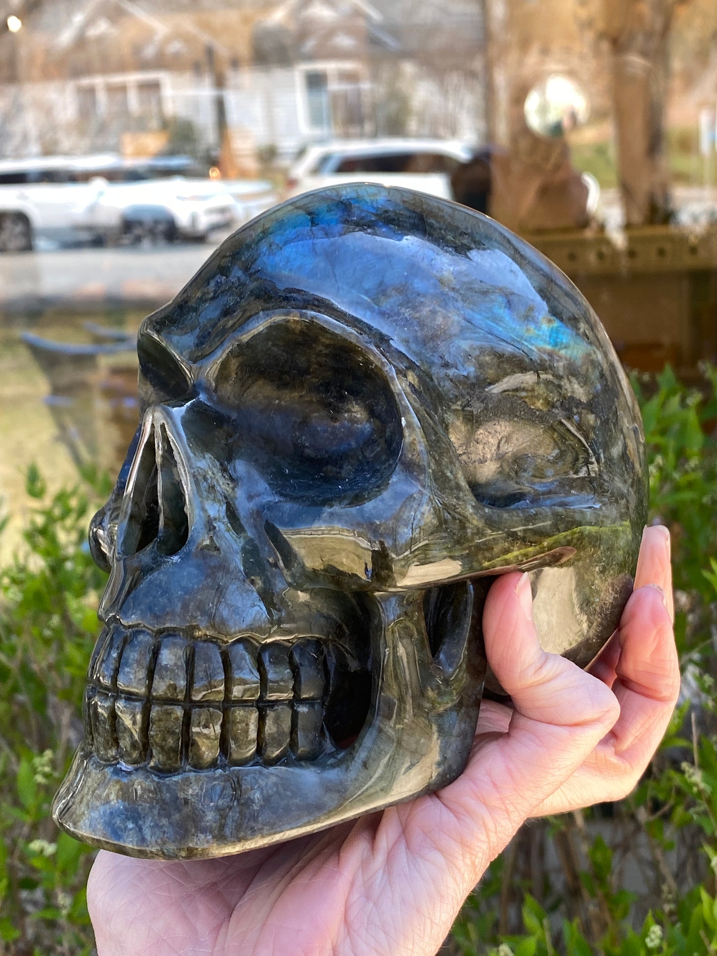Large Labradorite Skull, Hand-Carved, 6in