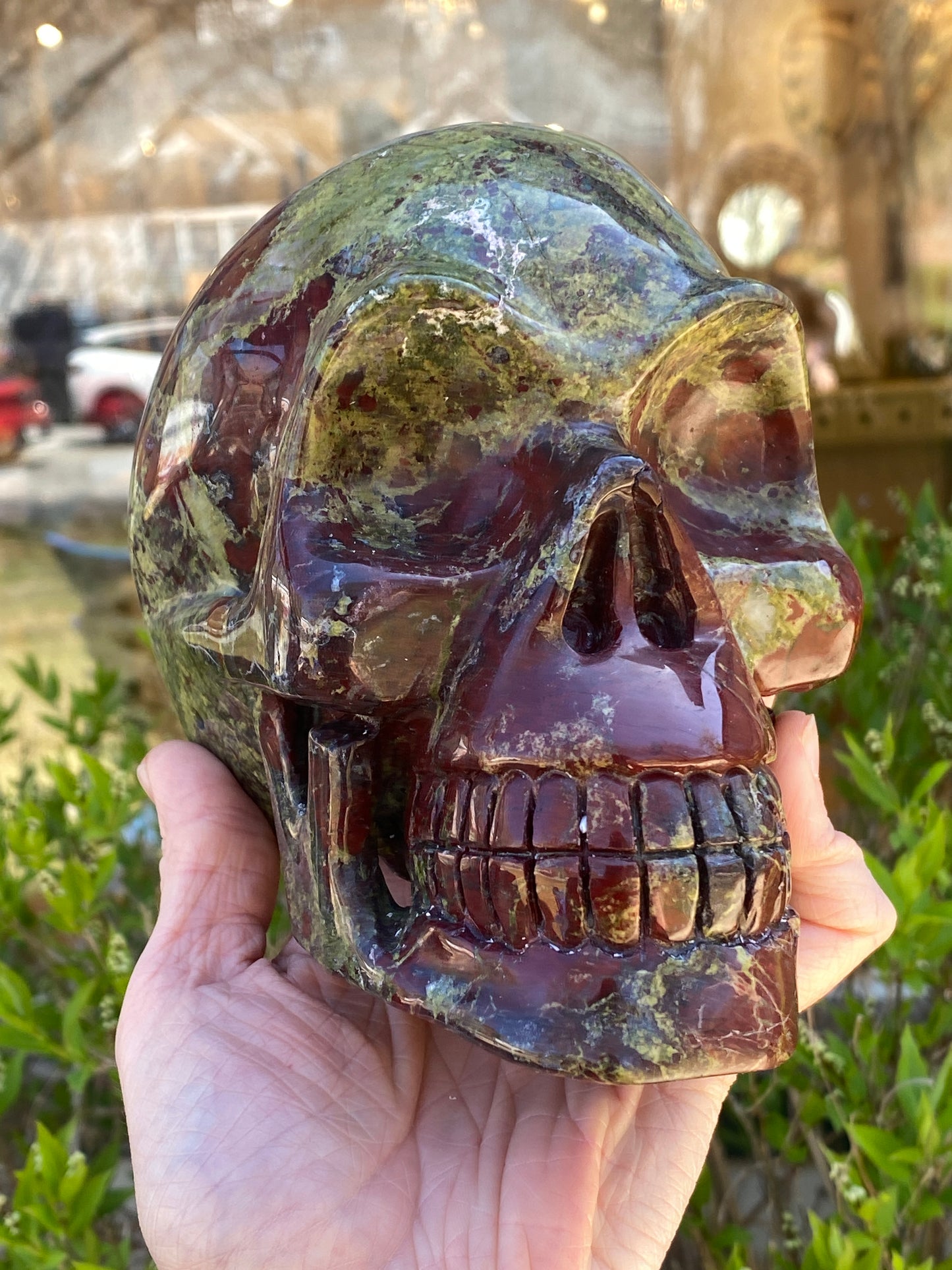Dragon's Blood Skull, Large, 6in