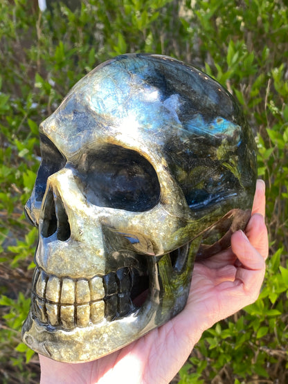 Large Labradorite Skull, Hand-Carved, 6in