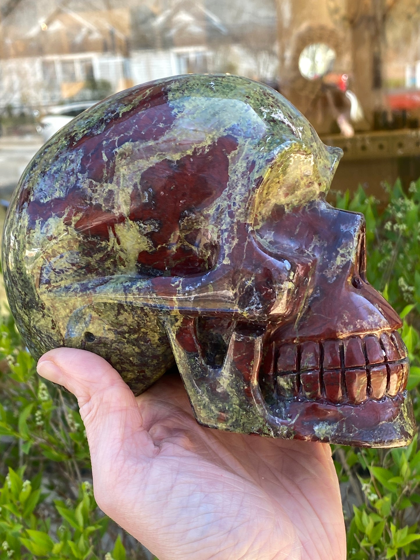 Dragon's Blood Skull, Large, 6in
