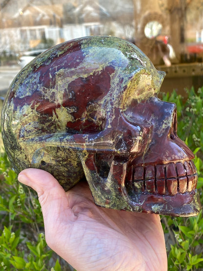 Dragon's Blood Skull, Large, 6in