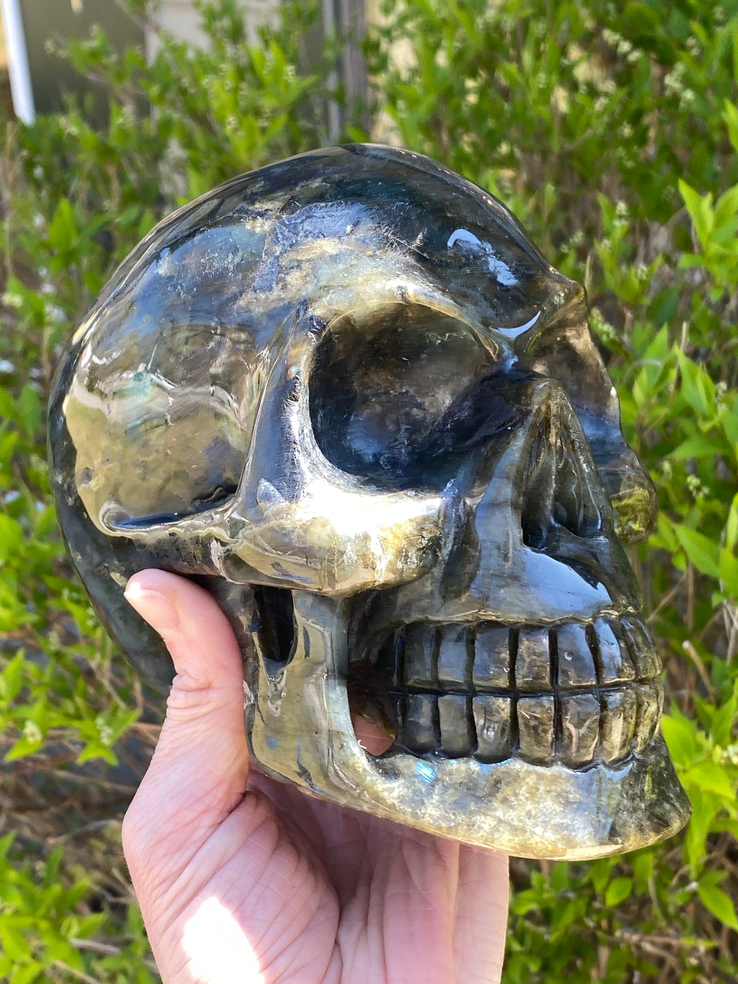 Large Labradorite Skull, Hand-Carved, 6in