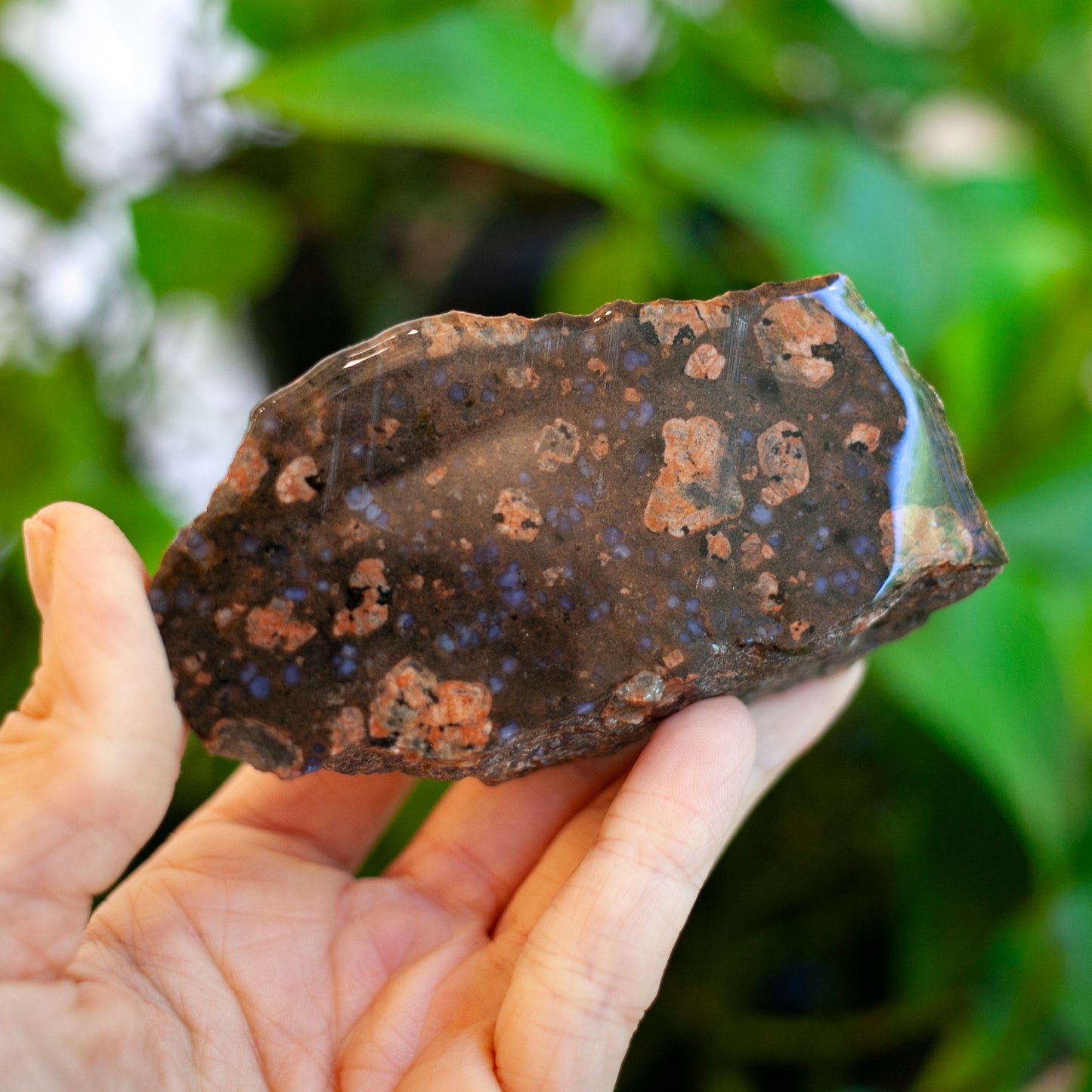 Llanite, Blue Quartz in Rhyolite, Texas, 1 Billion Years Old