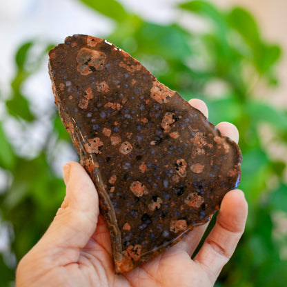 Llanite, Blue Quartz in Rhyolite, Texas, 1 Billion Years Old