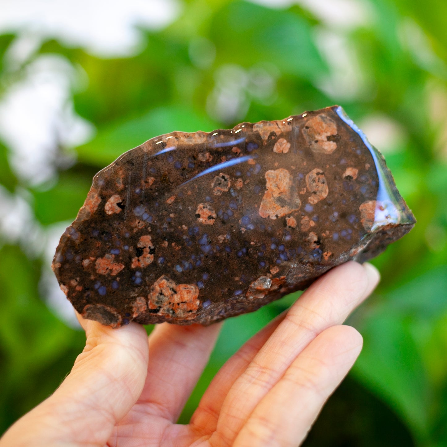 Llanite, Blue Quartz in Rhyolite, Texas, 1 Billion Years Old