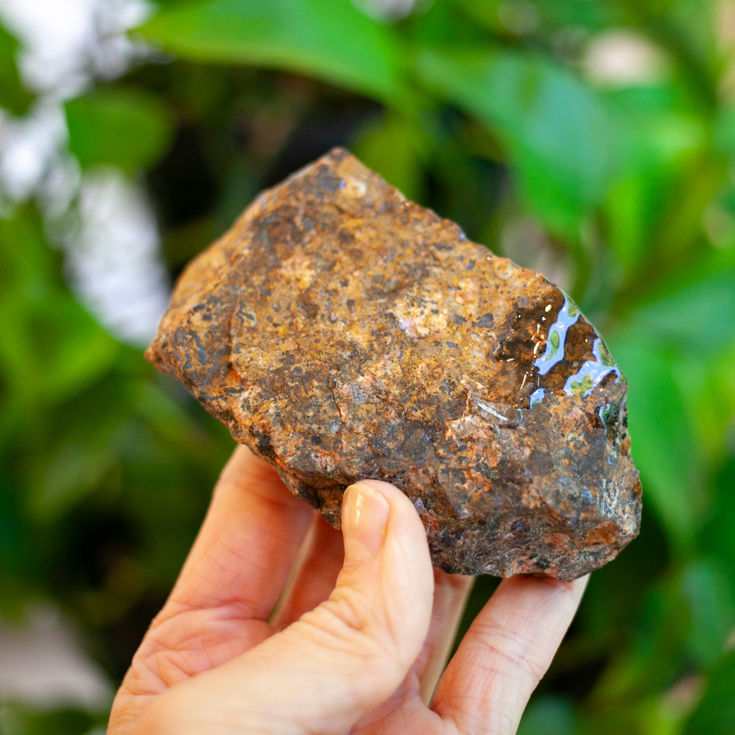 Llanite, Blue Quartz in Rhyolite, Texas, 1 Billion Years Old