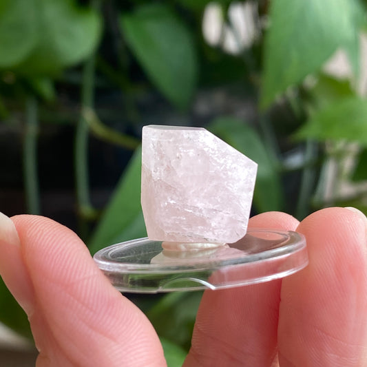 Morganite Crystal