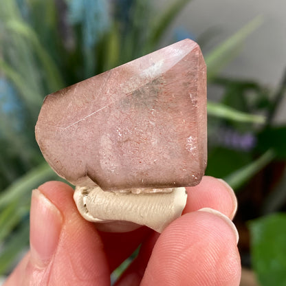 Rare Natural Strawberry Quartz, Kazakhstan