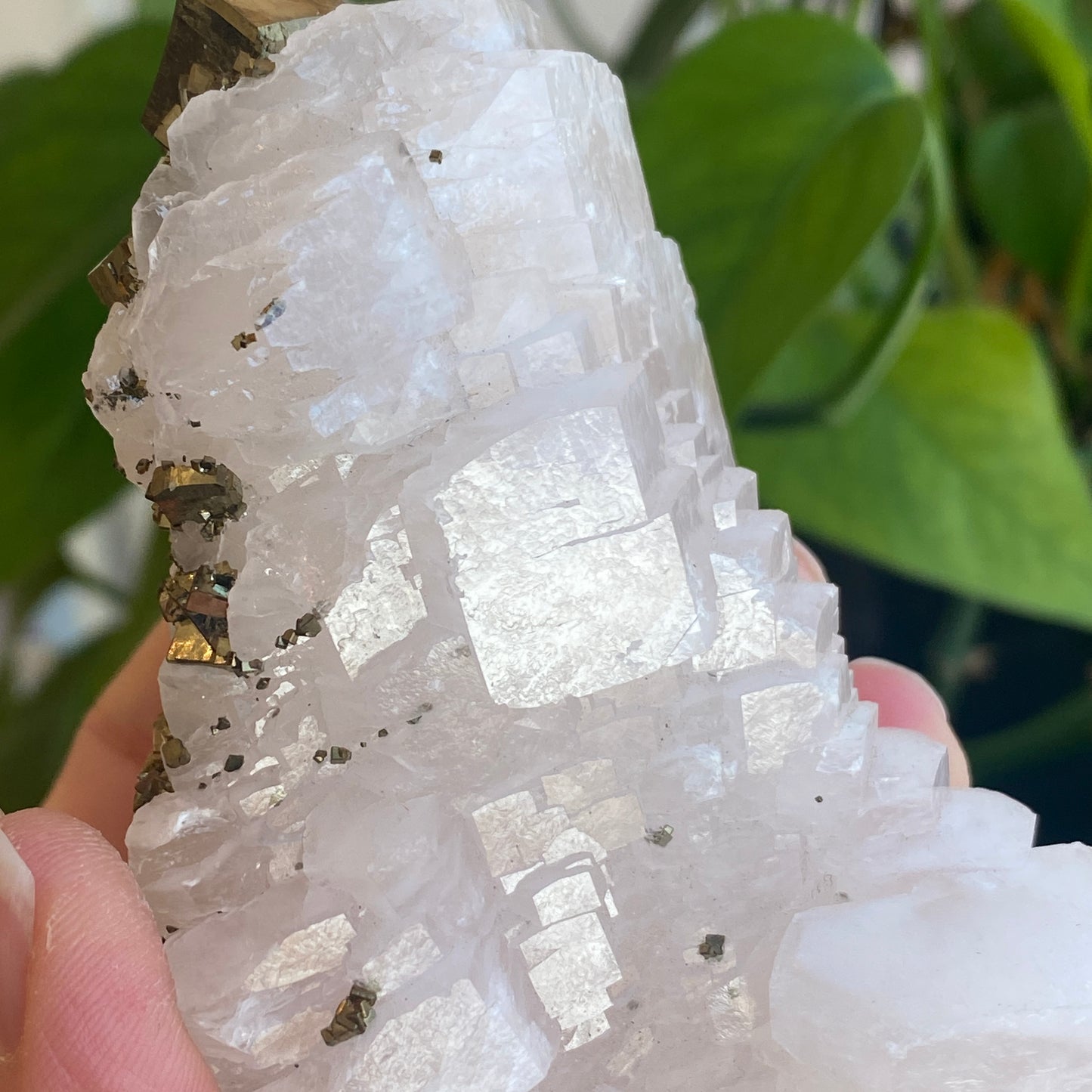 Pink Poker Chip Calcite with Pyrite, New Deposit, Hunan