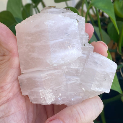 Pink Poker Chip Calcite with Pyrite, New Deposit, Hunan