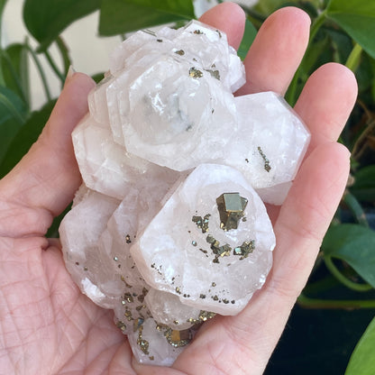 Pink Poker Chip Calcite with Pyrite, New Deposit, Hunan