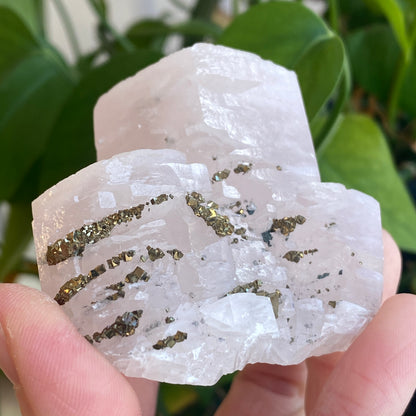 Pink Poker Chip Calcite with Pyrite, New Deposit, Hunan