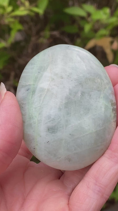 Garnierite Palm Stone
