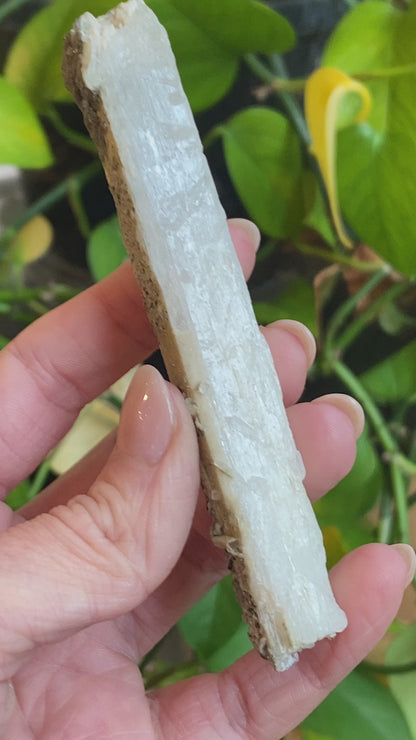 Rare Natrolite Crystal Specimen, Chimney Rock, New Jersey, 1973