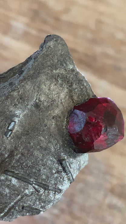 Garnet in Graphite, Red Embers Mine Massachusetts