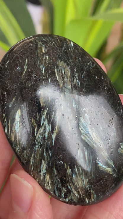 Arfvedsonite Palm Stone
