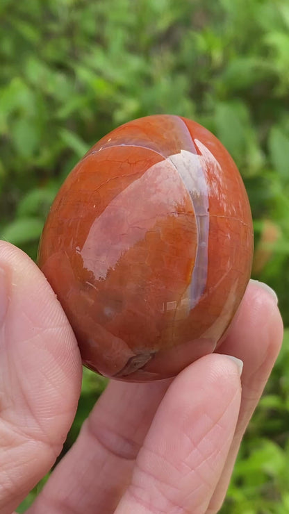 Snakeskin Agate Egg